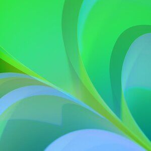 Clothes and more clothes